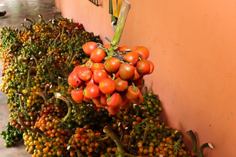  <div class='credito_fotos'>Foto: Divulgação &nbsp;&nbsp;|&nbsp;&nbsp; <a href='/midias/2021/originais/7213_4d15e657-1f1e-7c01-220e-0fcd29055478.jpg' download><i class='fa-solid fa-download'></i> Download</a></div>