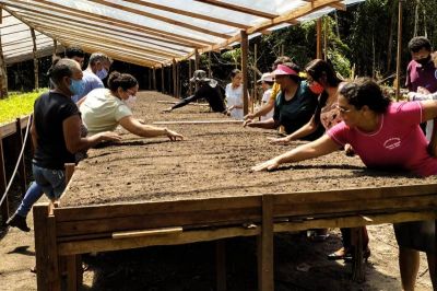 notícia: Agricultores de Benevides são atendidos em projeto da Emater 
