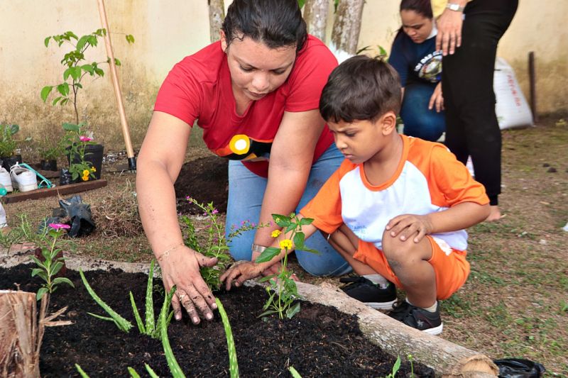 Crédito: CECOM Benevides