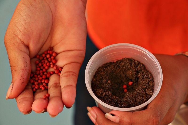  <div class='credito_fotos'>Foto: Márcio Souza &nbsp;&nbsp;|&nbsp;&nbsp; <a href='/midias/2023/originais/7646_c97d2c02-86e0-dbc6-64ee-e59b82265ffc.jpg' download><i class='fa-solid fa-download'></i> Download</a></div>