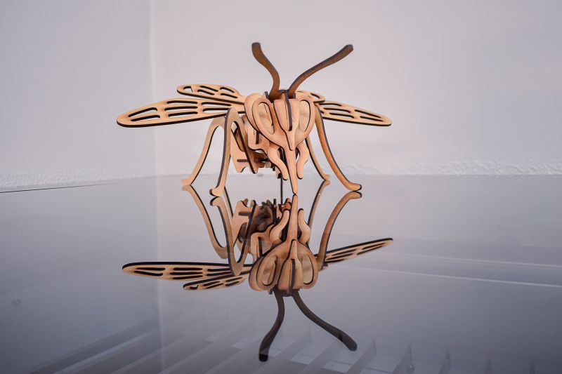  <div class='credito_fotos'>Foto: Karla Reis &nbsp;&nbsp;|&nbsp;&nbsp; <a href='/midias/2023/originais/7655_9a92b5a0-e6f3-3098-b96e-8b0bf28d6b2c.jpg' download><i class='fa-solid fa-download'></i> Download</a></div>