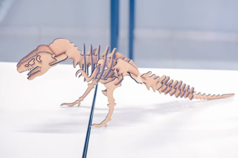  <div class='credito_fotos'>Foto: Karla Reis &nbsp;&nbsp;|&nbsp;&nbsp; <a href='/midias/2023/originais/7655_c8abbad9-8384-24a8-ce17-54d579bc671c.jpg' download><i class='fa-solid fa-download'></i> Download</a></div>