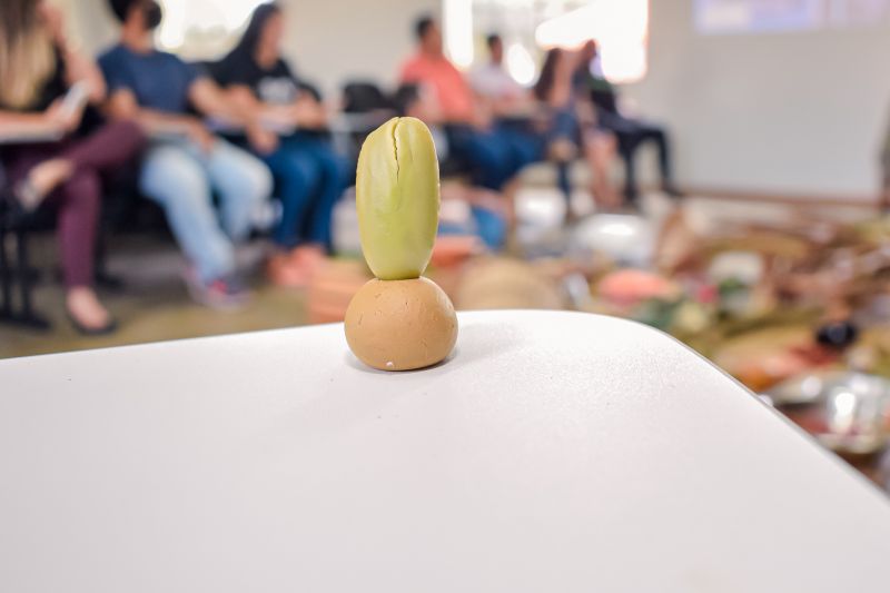  <div class='credito_fotos'>Foto: Karla Reis &nbsp;&nbsp;|&nbsp;&nbsp; <a href='/midias/2023/originais/7658_67355676-8c75-44ab-ecf6-e9d6fcc75b9b.jpg' download><i class='fa-solid fa-download'></i> Download</a></div>