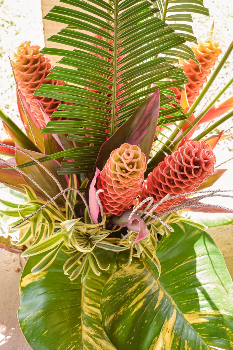  <div class='credito_fotos'>Foto: Karla Reis &nbsp;&nbsp;|&nbsp;&nbsp; <a href='/midias/2023/originais/7679_031ac507-a49d-8b29-33fe-3649e774f081.jpg' download><i class='fa-solid fa-download'></i> Download</a></div>