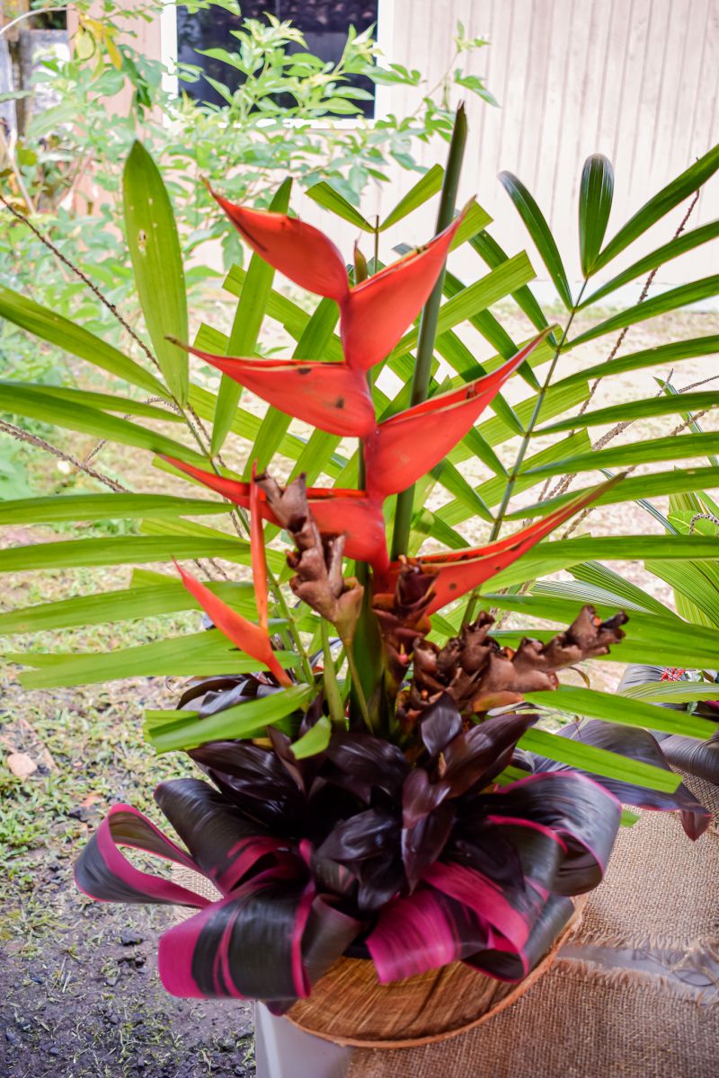  <div class='credito_fotos'>Foto: Karla Reis &nbsp;&nbsp;|&nbsp;&nbsp; <a href='/midias/2023/originais/7679_09c01f16-7449-091c-5ca5-c876c1ada951.jpg' download><i class='fa-solid fa-download'></i> Download</a></div>