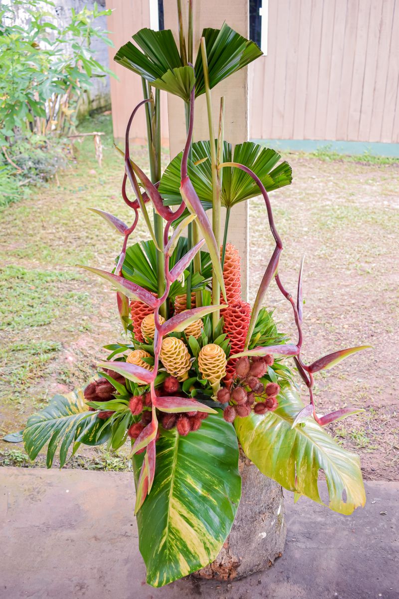  <div class='credito_fotos'>Foto: Karla Reis &nbsp;&nbsp;|&nbsp;&nbsp; <a href='/midias/2023/originais/7679_0e72b83c-5d90-7161-4132-1ad1c6cf7603.jpg' download><i class='fa-solid fa-download'></i> Download</a></div>