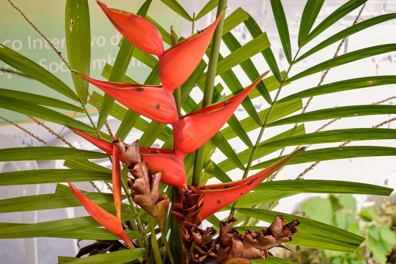  <div class='credito_fotos'>Foto: Karla Reis &nbsp;&nbsp;|&nbsp;&nbsp; <a href='/midias/2023/originais/7679_28521a03-78ae-febf-099d-0d29d6bb6692.jpg' download><i class='fa-solid fa-download'></i> Download</a></div>