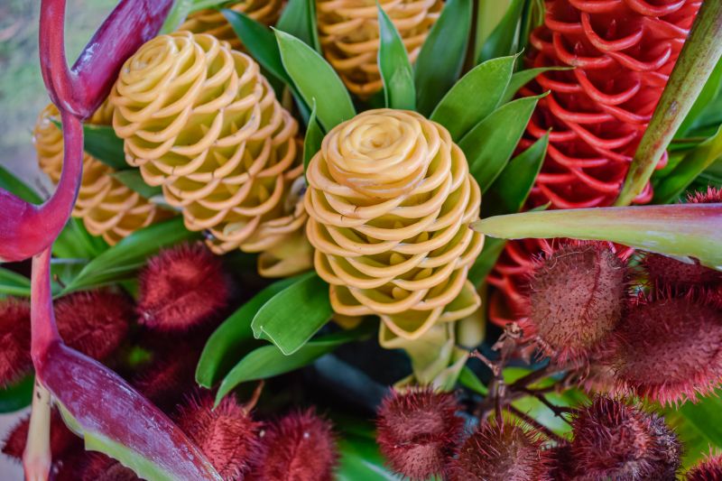  <div class='credito_fotos'>Foto: Karla Reis &nbsp;&nbsp;|&nbsp;&nbsp; <a href='/midias/2023/originais/7679_407a7449-3d83-f9db-70f7-9f598f94100d.jpg' download><i class='fa-solid fa-download'></i> Download</a></div>