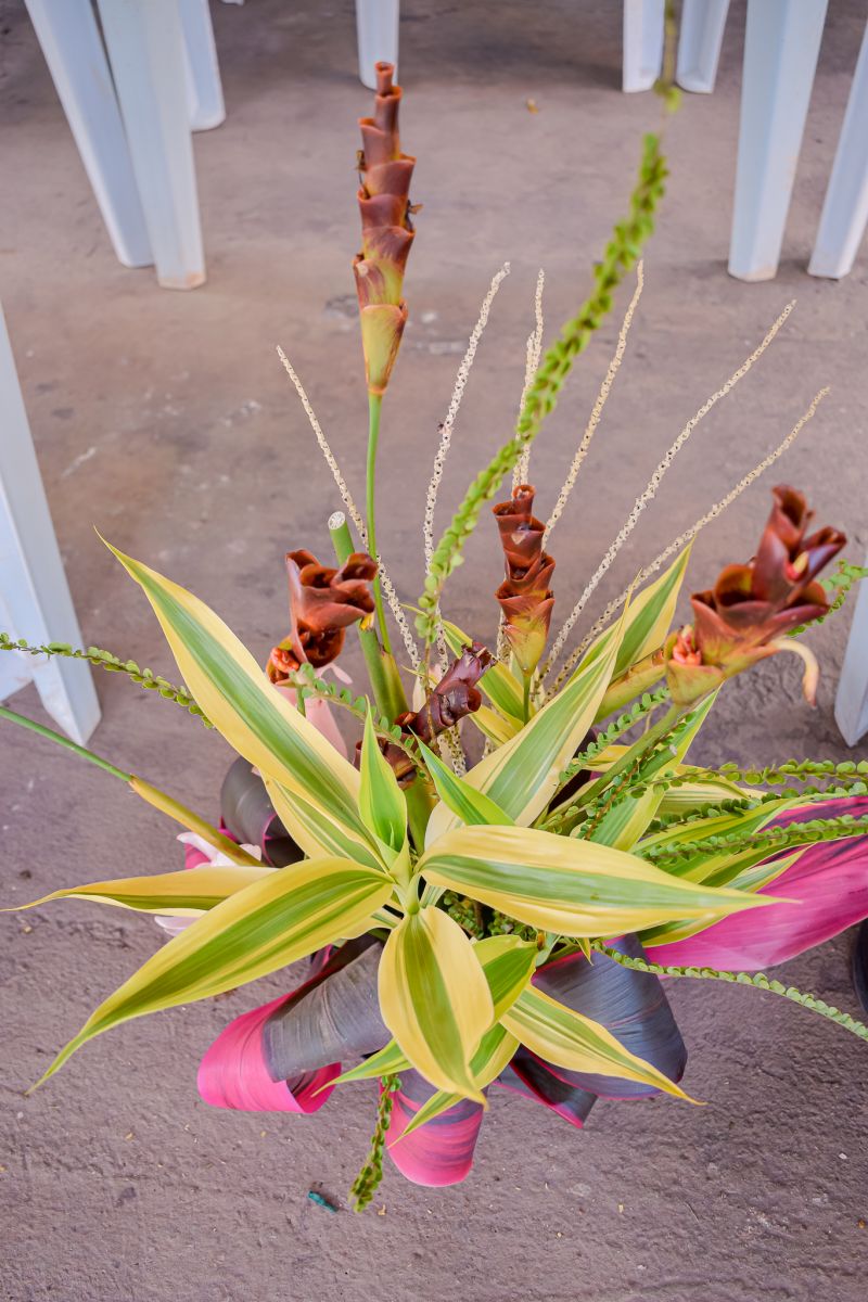  <div class='credito_fotos'>Foto: Karla Reis &nbsp;&nbsp;|&nbsp;&nbsp; <a href='/midias/2023/originais/7679_4261822c-db3e-710a-1a36-e592a64d0997.jpg' download><i class='fa-solid fa-download'></i> Download</a></div>