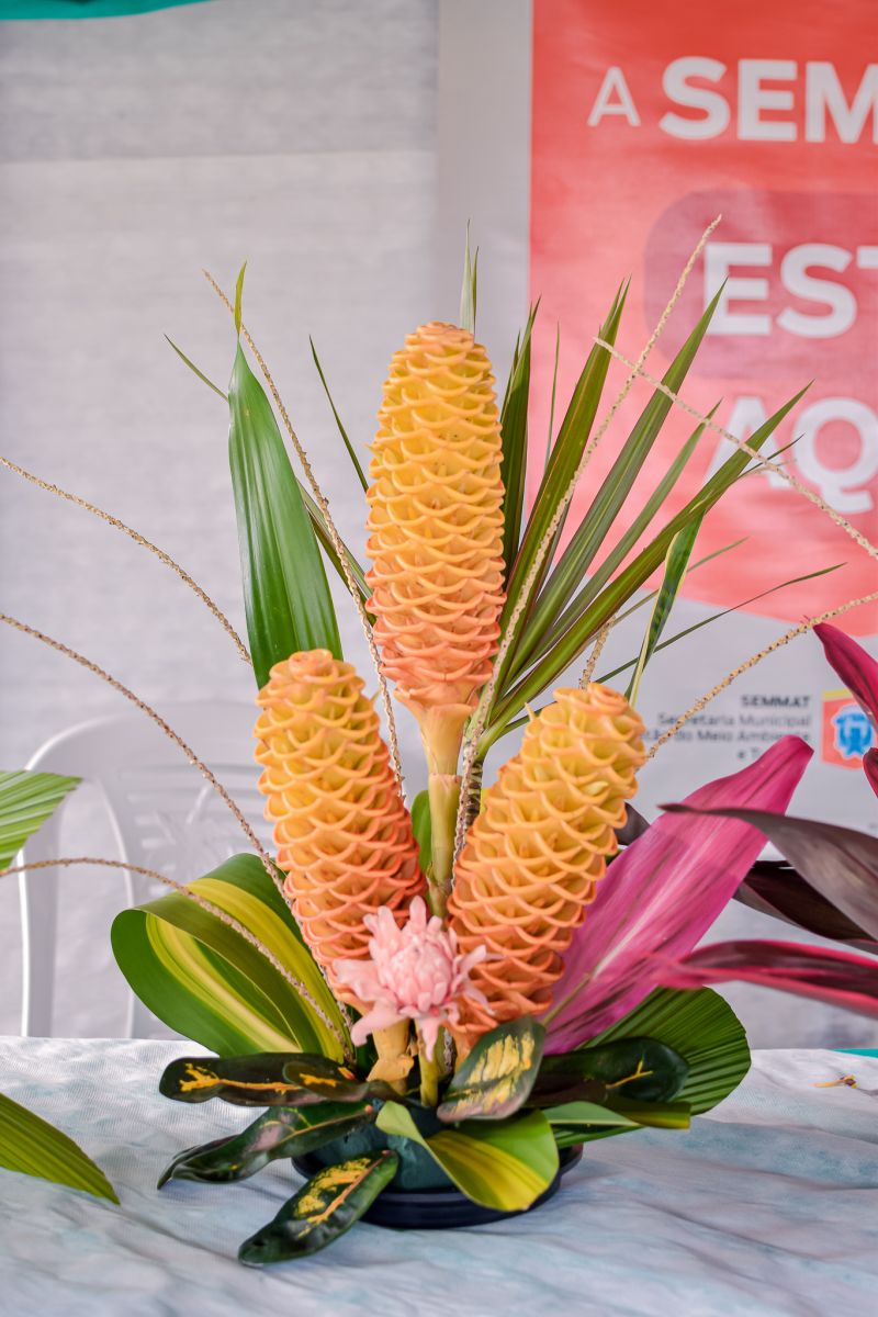  <div class='credito_fotos'>Foto: Karla Reis &nbsp;&nbsp;|&nbsp;&nbsp; <a href='/midias/2023/originais/7679_4a41ee77-25d0-0e84-5d0a-4343970b1a6c.jpg' download><i class='fa-solid fa-download'></i> Download</a></div>