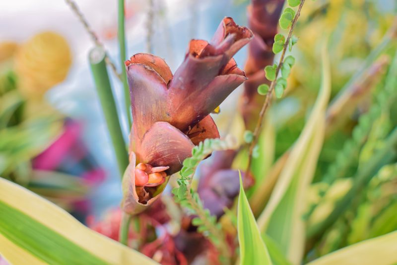  <div class='credito_fotos'>Foto: Karla Reis &nbsp;&nbsp;|&nbsp;&nbsp; <a href='/midias/2023/originais/7679_64e977fe-e903-5ee2-4a4d-a79b8cc54e36.jpg' download><i class='fa-solid fa-download'></i> Download</a></div>