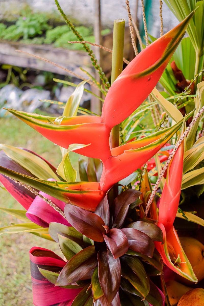  <div class='credito_fotos'>Foto: Karla Reis &nbsp;&nbsp;|&nbsp;&nbsp; <a href='/midias/2023/originais/7679_73ad16b1-70bb-6037-512b-5cb24f14d441.jpg' download><i class='fa-solid fa-download'></i> Download</a></div>