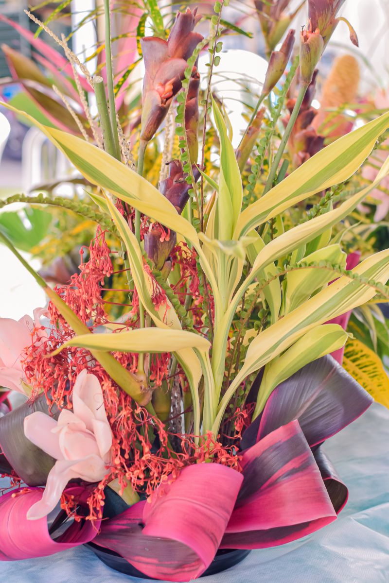  <div class='credito_fotos'>Foto: Karla Reis &nbsp;&nbsp;|&nbsp;&nbsp; <a href='/midias/2023/originais/7679_8aa7330c-3e28-3c87-ed2e-f17e6c57b94b.jpg' download><i class='fa-solid fa-download'></i> Download</a></div>