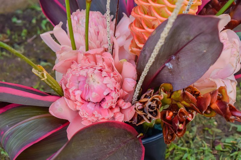  <div class='credito_fotos'>Foto: Karla Reis &nbsp;&nbsp;|&nbsp;&nbsp; <a href='/midias/2023/originais/7679_8b202ed5-f596-80a4-3f4d-ab5aa4438c95.jpg' download><i class='fa-solid fa-download'></i> Download</a></div>