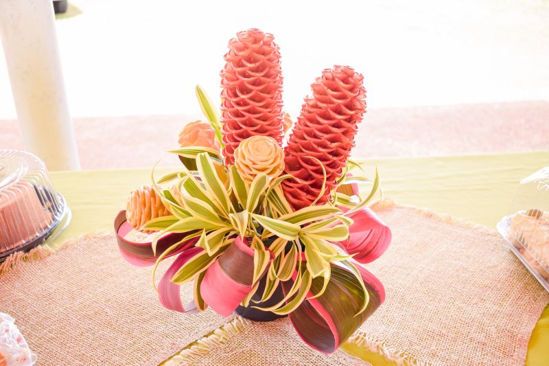  <div class='credito_fotos'>Foto: Karla Reis &nbsp;&nbsp;|&nbsp;&nbsp; <a href='/midias/2023/originais/7679_8ef2c493-0db9-53b2-9acf-315d28f58a2d.jpg' download><i class='fa-solid fa-download'></i> Download</a></div>