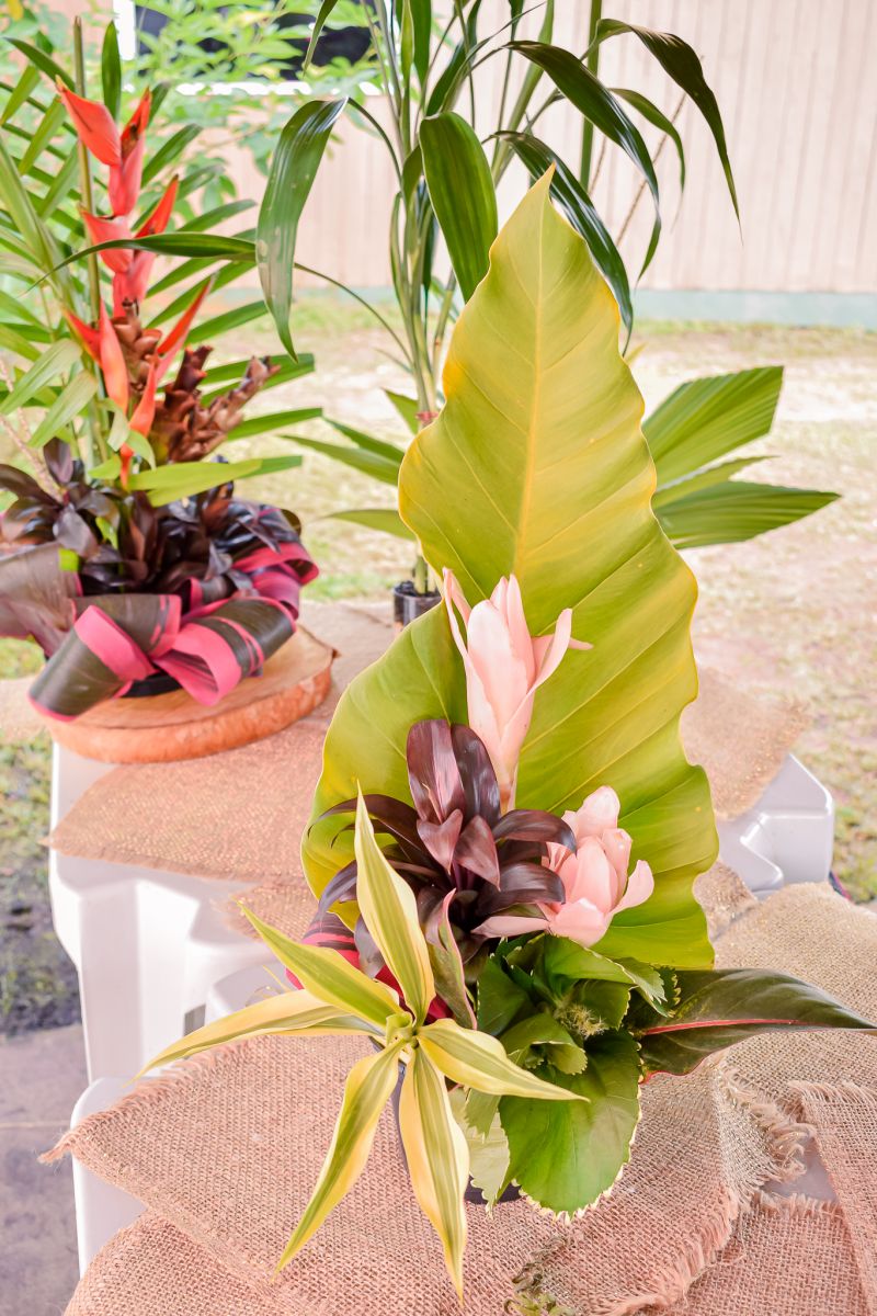  <div class='credito_fotos'>Foto: Karla Reis &nbsp;&nbsp;|&nbsp;&nbsp; <a href='/midias/2023/originais/7679_b1d57d93-9c1e-c4e2-b57f-98a95800630a.jpg' download><i class='fa-solid fa-download'></i> Download</a></div>