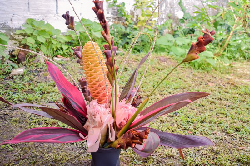  <div class='credito_fotos'>Foto: Karla Reis &nbsp;&nbsp;|&nbsp;&nbsp; <a href='/midias/2023/originais/7679_e9c4c821-3044-a028-2bc6-8697aa9fcaf7.jpg' download><i class='fa-solid fa-download'></i> Download</a></div>