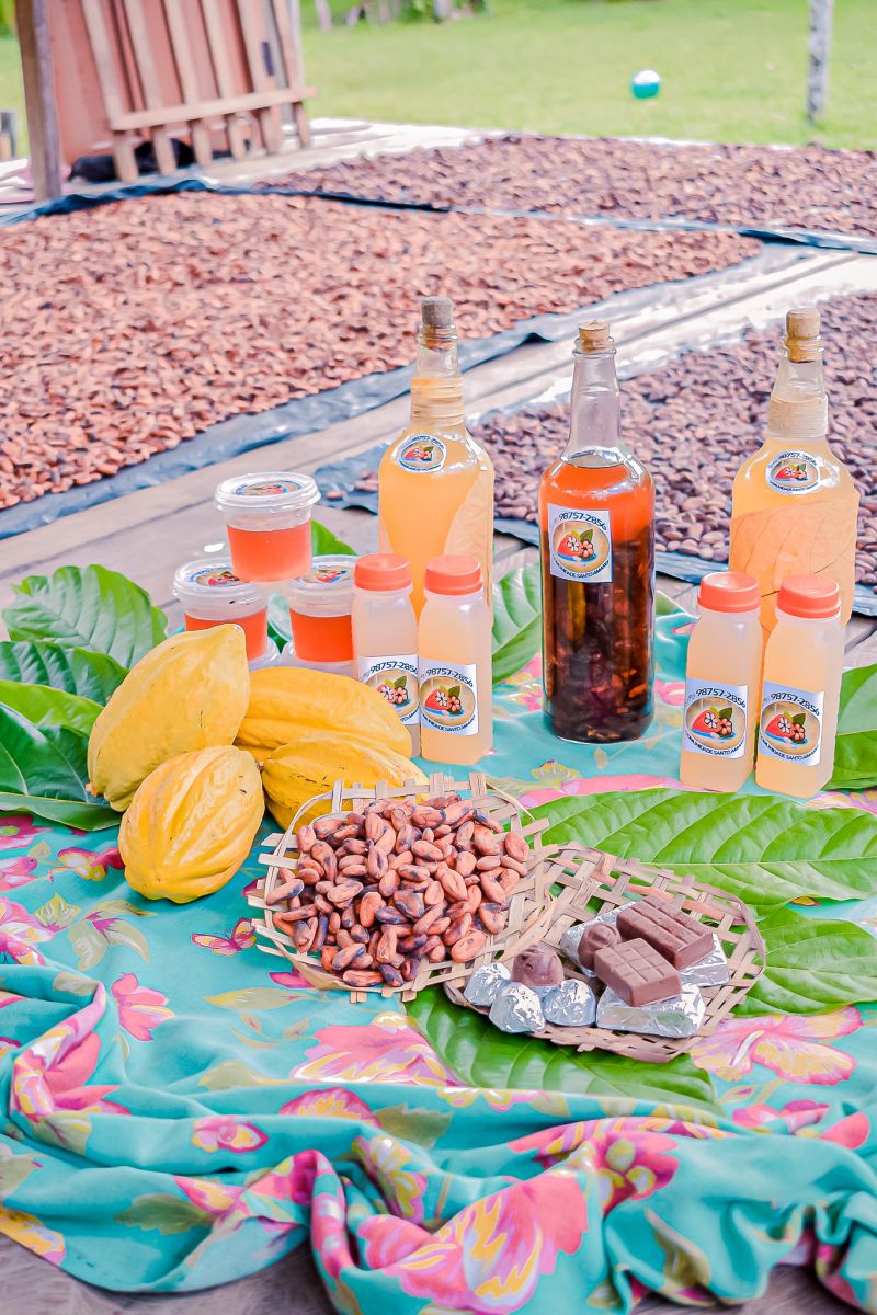  <div class='credito_fotos'>Foto: Karla Reis &nbsp;&nbsp;|&nbsp;&nbsp; <a href='/midias/2023/originais/7680_b42f220c-d275-375b-ba26-a45eed3541e0.jpg' download><i class='fa-solid fa-download'></i> Download</a></div>