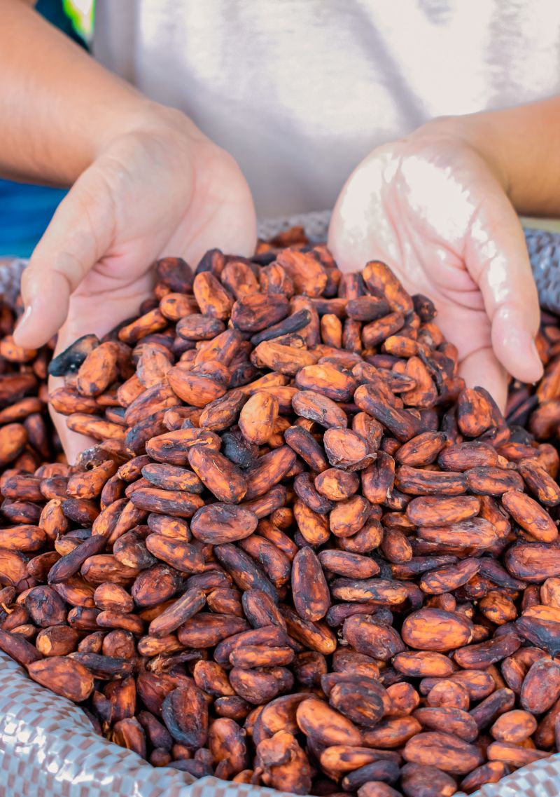  <div class='credito_fotos'>Foto: Karla Reis &nbsp;&nbsp;|&nbsp;&nbsp; <a href='/midias/2023/originais/7680_c4dc4d56-e9d7-9bb7-a995-53917e65f0e3.jpg' download><i class='fa-solid fa-download'></i> Download</a></div>