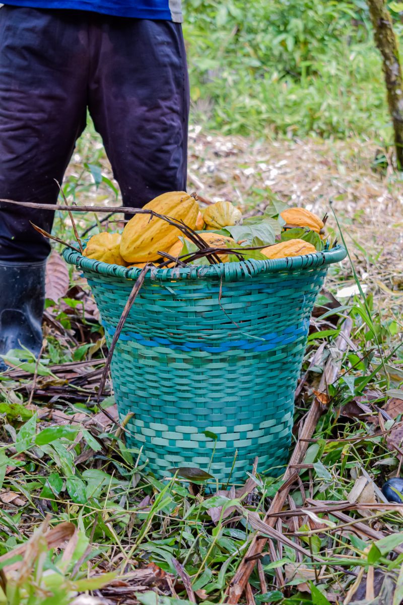  <div class='credito_fotos'>Foto: Karla Reis &nbsp;&nbsp;|&nbsp;&nbsp; <a href='/midias/2023/originais/7680_df21a936-5f02-563c-04e8-319db54a09b4.jpg' download><i class='fa-solid fa-download'></i> Download</a></div>