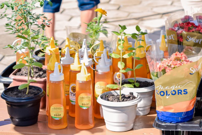  <div class='credito_fotos'>Foto: Karla Reis &nbsp;&nbsp;|&nbsp;&nbsp; <a href='/midias/2023/originais/7682_217e2362-cf3e-4724-7faf-be77c196be60.jpg' download><i class='fa-solid fa-download'></i> Download</a></div>