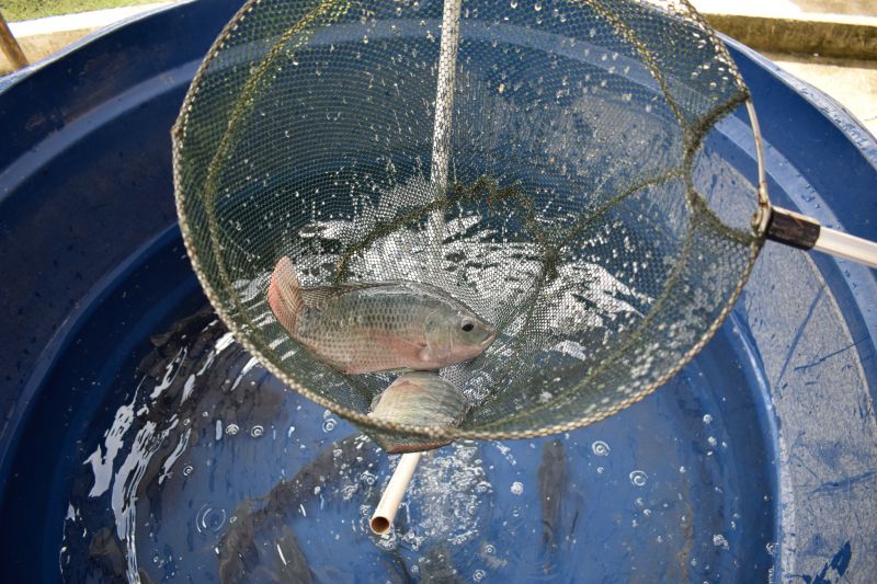  <div class='credito_fotos'>Foto: Karla Reis &nbsp;&nbsp;|&nbsp;&nbsp; <a href='/midias/2023/originais/7682_6c2ca93c-a448-8762-8bef-86d7290e4b02.jpg' download><i class='fa-solid fa-download'></i> Download</a></div>