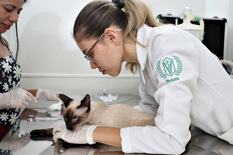 AÇÃO CASTRA MÓVEL <div class='credito_fotos'>Foto: Márcio Souza &nbsp;&nbsp;|&nbsp;&nbsp; <a href='/midias/2023/originais/7701_97d2c110-a3fa-3972-7521-becb6578e242.jpg' download><i class='fa-solid fa-download'></i> Download</a></div>