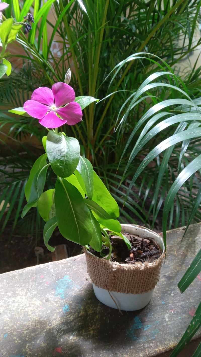 Crédito: Divulgação