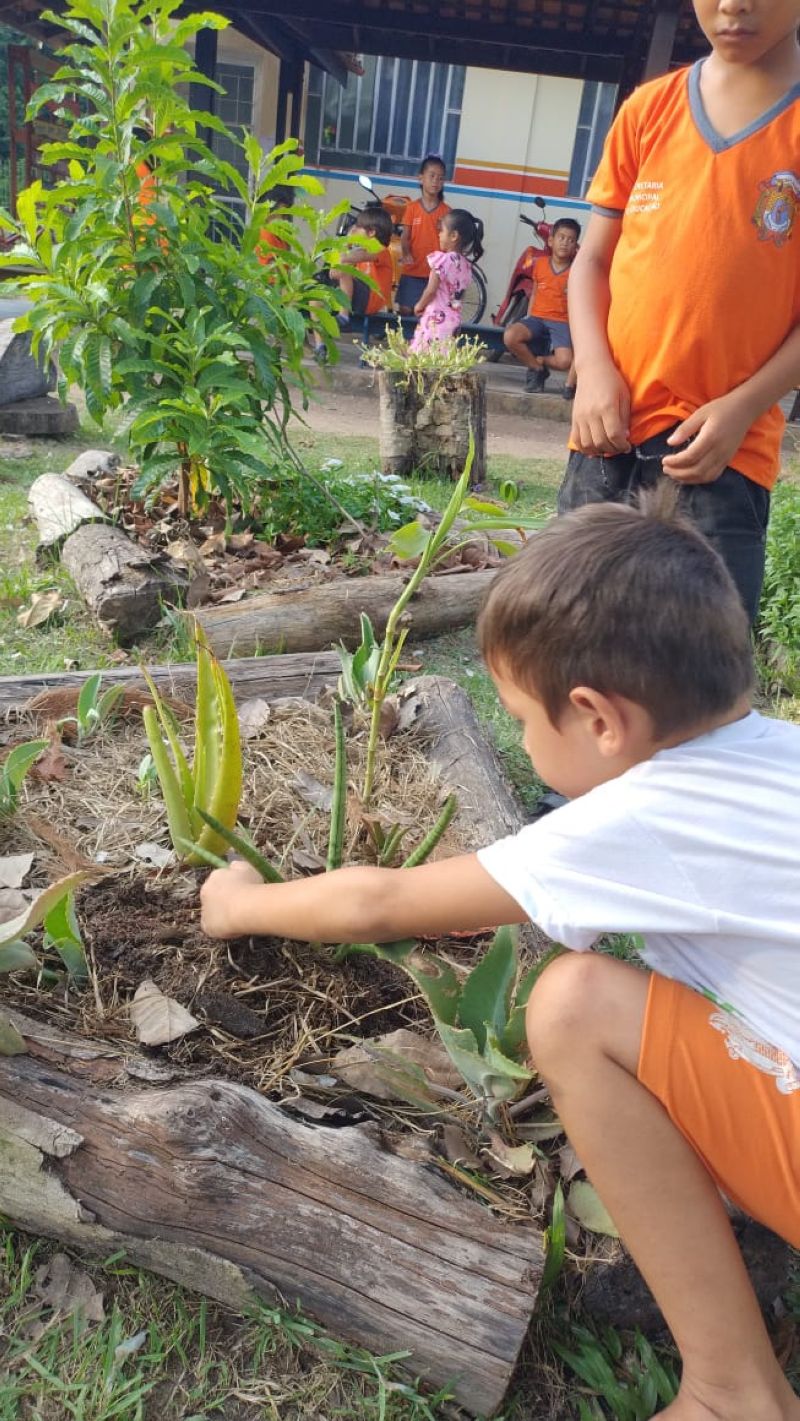 Crédito: Divulgação