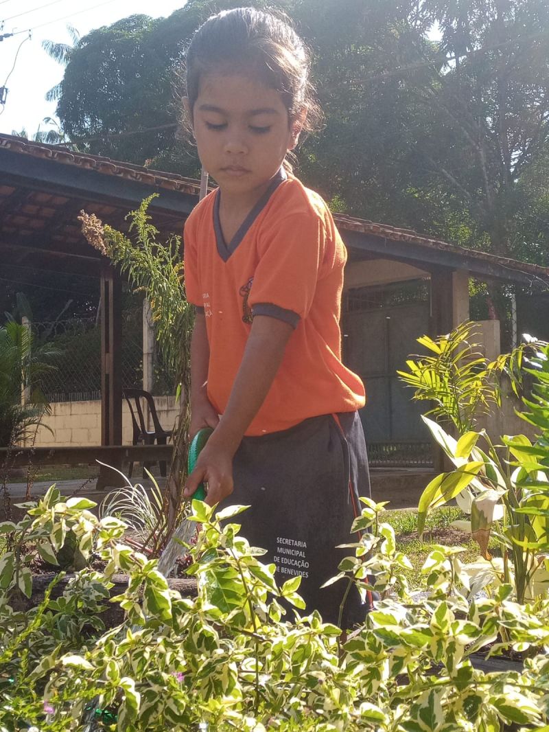 Crédito: Divulgação