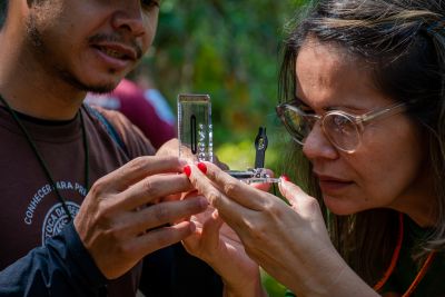 galeria: CERTIFICAÇÃO DO CURSO DE TRILHAS
