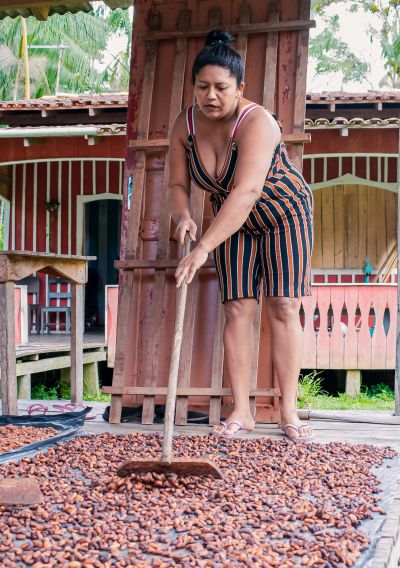 galeria: CACAU DE SANTO AMARO