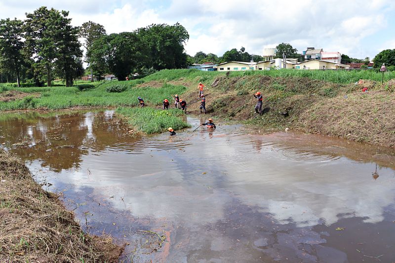 LIMPEZA DO IGARAPÉ QUEBRA GALHO <div class='credito_fotos'>Foto: Márcio Souza &nbsp;&nbsp;|&nbsp;&nbsp; <a href='/midias/2024/originais/7745_164d305a-1fd7-a4f7-b341-f14b06e27811.jpg' download><i class='fa-solid fa-download'></i> Download</a></div>