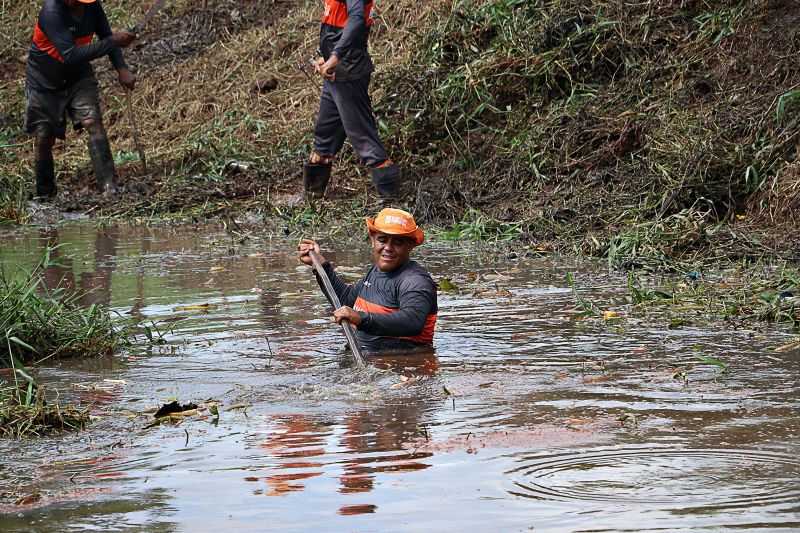LIMPEZA DO IGARAPÉ QUEBRA GALHO <div class='credito_fotos'>Foto: Márcio Souza &nbsp;&nbsp;|&nbsp;&nbsp; <a href='/midias/2024/originais/7745_abdb853c-faa6-456d-501f-c434ec5a6713.jpg' download><i class='fa-solid fa-download'></i> Download</a></div>
