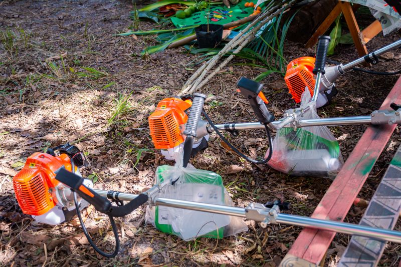  <div class='credito_fotos'>Foto: Karla Reis &nbsp;&nbsp;|&nbsp;&nbsp; <a href='/midias/2024/originais/7749_46b7099a-8017-fdac-b95c-99b449b98323.jpg' download><i class='fa-solid fa-download'></i> Download</a></div>