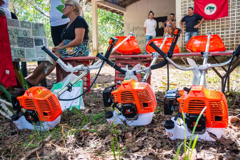  <div class='credito_fotos'>Foto: Karla Reis &nbsp;&nbsp;|&nbsp;&nbsp; <a href='/midias/2024/originais/7749_bae0071f-219e-b2d2-cd20-cb239b0ac138.jpg' download><i class='fa-solid fa-download'></i> Download</a></div>