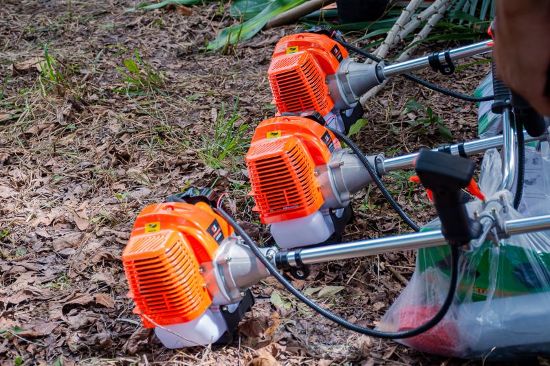  <div class='credito_fotos'>Foto: Karla Reis &nbsp;&nbsp;|&nbsp;&nbsp; <a href='/midias/2024/originais/7749_eceb53ec-99c7-4e64-ffcd-6ab3aa201db6.jpg' download><i class='fa-solid fa-download'></i> Download</a></div>