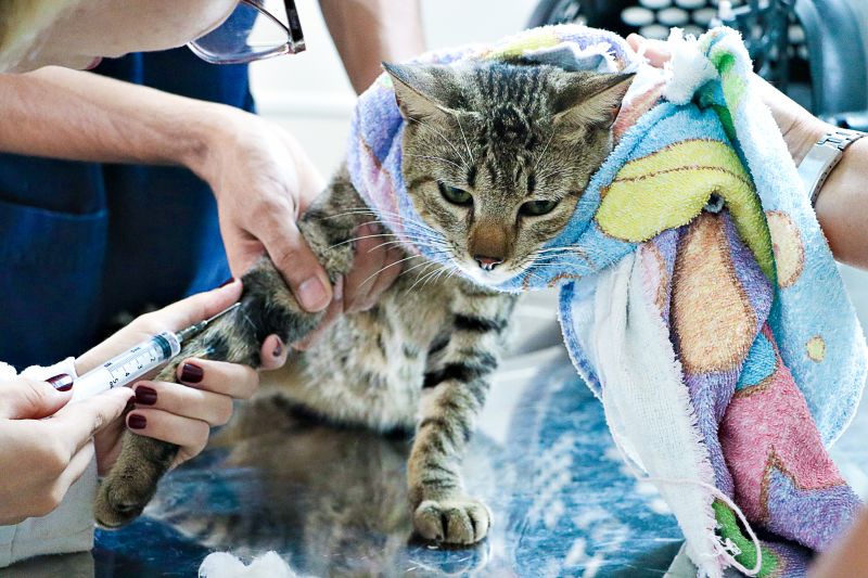  <div class='credito_fotos'>Foto: Márcio Souza &nbsp;&nbsp;|&nbsp;&nbsp; <a href='/midias/2024/originais/7750_162c3b5d-1412-c1e9-6274-484a2c8be1d7.jpg' download><i class='fa-solid fa-download'></i> Download</a></div>