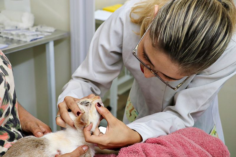  <div class='credito_fotos'>Foto: Márcio Souza &nbsp;&nbsp;|&nbsp;&nbsp; <a href='/midias/2024/originais/7750_bca3e01e-5f20-edc6-eb51-1d3d28009f76.jpg' download><i class='fa-solid fa-download'></i> Download</a></div>