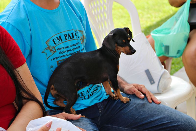 Ação Castra Móvel St Dumont 2 <div class='credito_fotos'>Foto: Márcio Souza &nbsp;&nbsp;|&nbsp;&nbsp; <a href='/midias/2024/originais/7755_a7078269-6feb-456e-4fba-94f37d601218.jpg' download><i class='fa-solid fa-download'></i> Download</a></div>