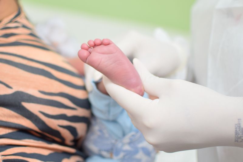  <div class='credito_fotos'>Foto: Karla Reis &nbsp;&nbsp;|&nbsp;&nbsp; <a href='/midias/2024/originais/7780_27485755-7284-75b7-e0ed-deb1c756a498.jpg' download><i class='fa-solid fa-download'></i> Download</a></div>