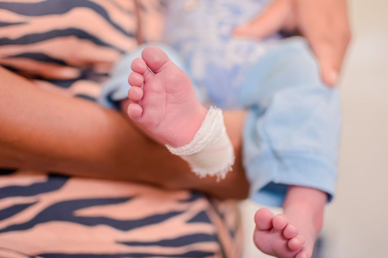  <div class='credito_fotos'>Foto: Karla Reis &nbsp;&nbsp;|&nbsp;&nbsp; <a href='/midias/2024/originais/7780_81dccbcb-d7f9-b619-993f-7a5cdca289c8.jpg' download><i class='fa-solid fa-download'></i> Download</a></div>