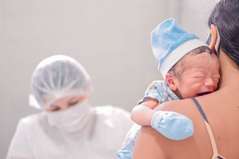  <div class='credito_fotos'>Foto: Karla Reis &nbsp;&nbsp;|&nbsp;&nbsp; <a href='/midias/2024/originais/7780_b53b96c4-844b-c286-c90c-00e18edfcb87.jpg' download><i class='fa-solid fa-download'></i> Download</a></div>