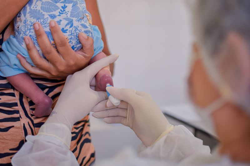  <div class='credito_fotos'>Foto: Karla Reis &nbsp;&nbsp;|&nbsp;&nbsp; <a href='/midias/2024/originais/7780_d953ab98-c44e-105c-be97-3f8057c89e6e.jpg' download><i class='fa-solid fa-download'></i> Download</a></div>