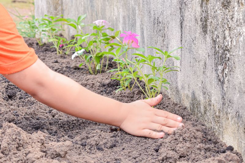  <div class='credito_fotos'>Foto: Karla Reis &nbsp;&nbsp;|&nbsp;&nbsp; <a href='/midias/2024/originais/7782_015bd33e-cdbb-ad11-aac5-13797638be65.jpg' download><i class='fa-solid fa-download'></i> Download</a></div>