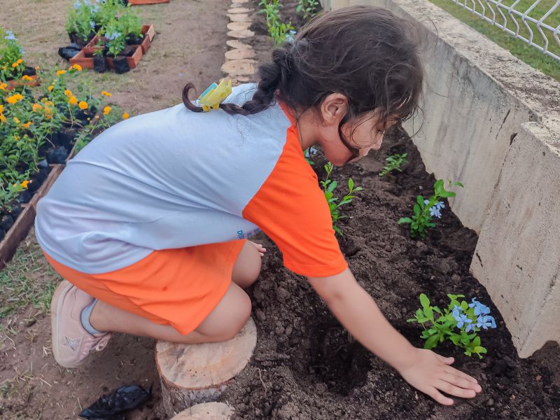  <div class='credito_fotos'>Foto: Karla Reis &nbsp;&nbsp;|&nbsp;&nbsp; <a href='/midias/2024/originais/7782_1187ec8a-2a79-2d8c-f21b-c6f53e60fab7.jpg' download><i class='fa-solid fa-download'></i> Download</a></div>