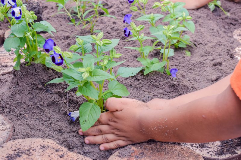  <div class='credito_fotos'>Foto: Karla Reis &nbsp;&nbsp;|&nbsp;&nbsp; <a href='/midias/2024/originais/7782_e2a6a9c0-2bf2-91b4-7cfc-b5bf1710f5ba.jpg' download><i class='fa-solid fa-download'></i> Download</a></div>