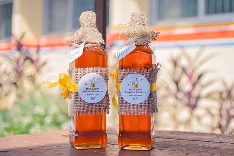  <div class='credito_fotos'>Foto: Karla Reis &nbsp;&nbsp;|&nbsp;&nbsp; <a href='/midias/2024/originais/7783_0cb47508-9323-a240-2d48-b162e958809b.jpg' download><i class='fa-solid fa-download'></i> Download</a></div>