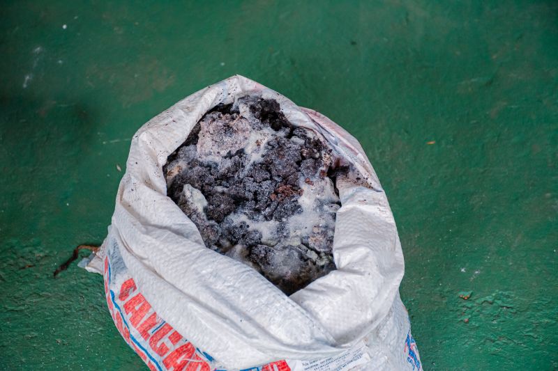  <div class='credito_fotos'>Foto: Karla Reis &nbsp;&nbsp;|&nbsp;&nbsp; <a href='/midias/2024/originais/7810_8eaa0e24-4578-29c8-0a8b-9f52ae8f7ce0.jpg' download><i class='fa-solid fa-download'></i> Download</a></div>