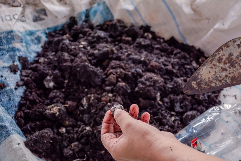  <div class='credito_fotos'>Foto: Karla Reis &nbsp;&nbsp;|&nbsp;&nbsp; <a href='/midias/2024/originais/7810_dfdea7b5-3928-7e9a-11a5-431001b2c300.jpg' download><i class='fa-solid fa-download'></i> Download</a></div>